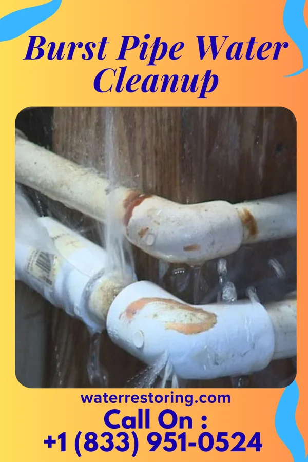 Burst Pipe Water Cleanup in De Graff, MN