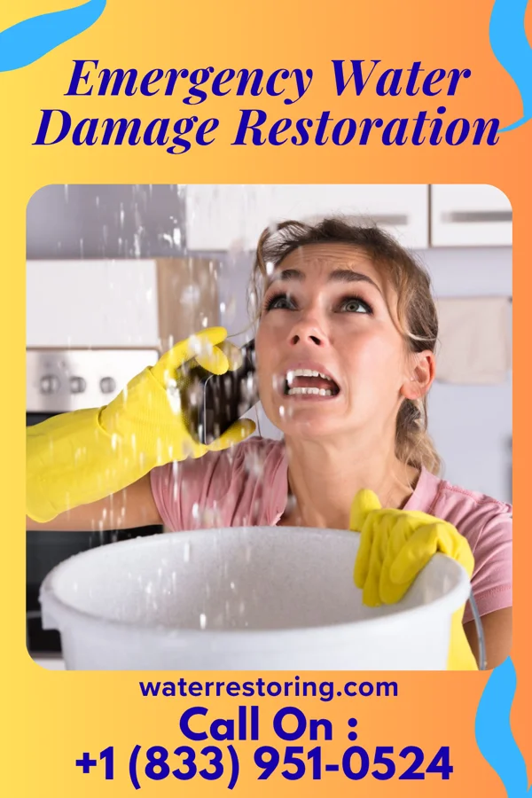 Emergency Water Damage Restoration in De Graff, MN